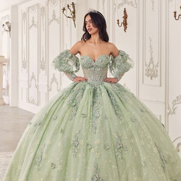 Cinderella Dresses & Skirts - N/A NEW LONG QUINCEANERA MAXI TULLE BALL GOWN W/ REMOVABLE PUFF SLEEVES CD 15722